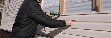 Best Vinyl Siding Installation  in Belleville, WI